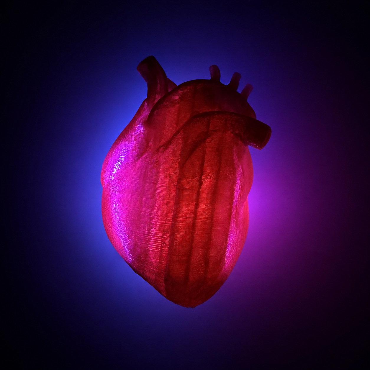 Finished Heart Lite mini anatomical heart illuminated against a dark violet background