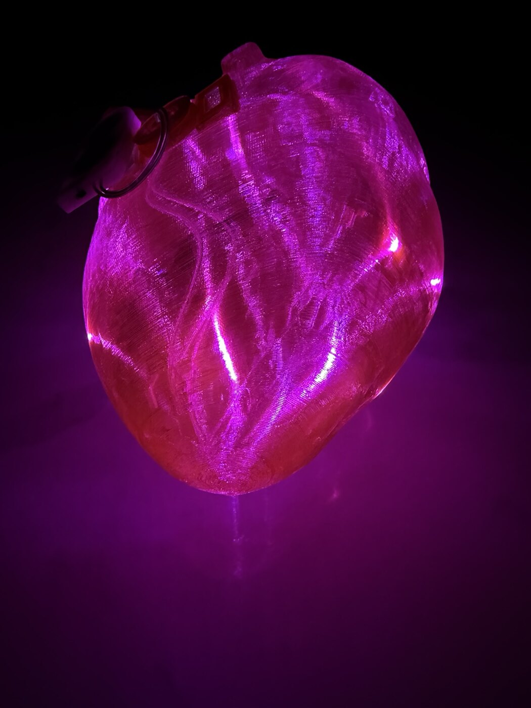 Close view of the illuminated translucent red anatomical heart
